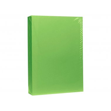 Dossier circulation- recyclée A4 vert/ Pc.