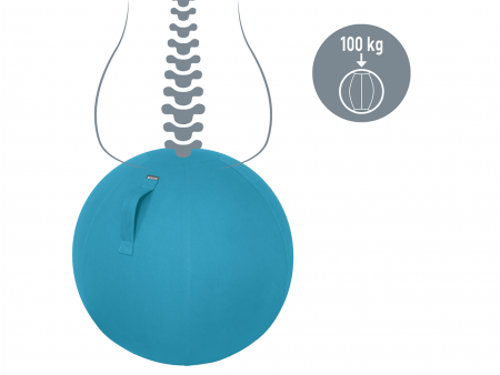 Ballon siège ergonomique Ergo Cosy Ø65 cm