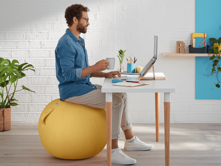 Ballon siège ergonomique Ergo Cosy Ø65 cm