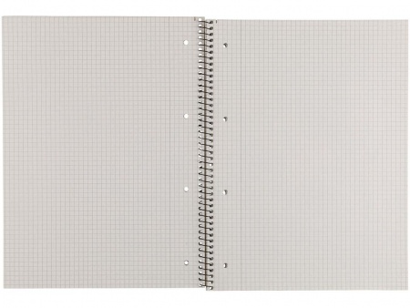 Cahier d\'écolier