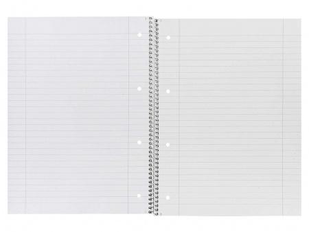 Cahier spirale perf. 160 p.