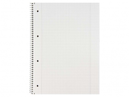 Cahier spirale perf. 160 p.