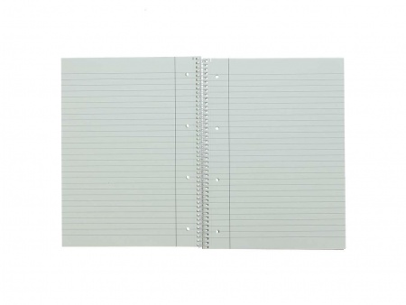 Cahier spirale perf. 160 p.