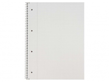 Cahier spirale perf. 160 p.