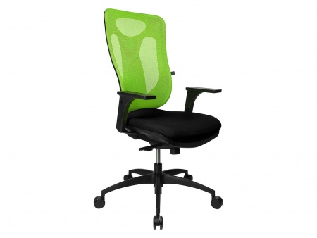 Fauteuil de bureau \ Net Pro 100\ 