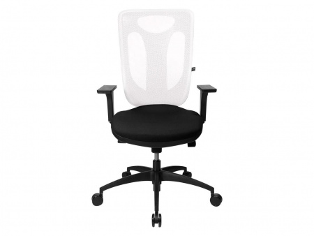 Fauteuil de bureau \ Net Pro 100\ 