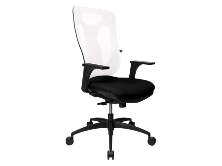 Fauteuil de bureau \ Net Pro 100\ 