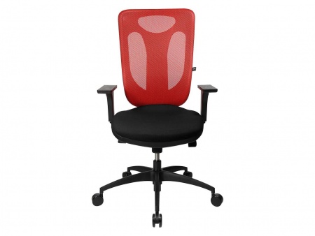 Fauteuil de bureau \ Net Pro 100\ 