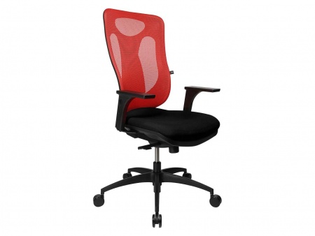 Fauteuil de bureau \ Net Pro 100\ 