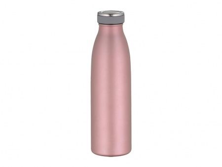 Gourde Thermos en acier inoxydable