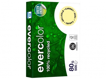 Ramette papier recyclé Evercolor 500 f. A4 80g