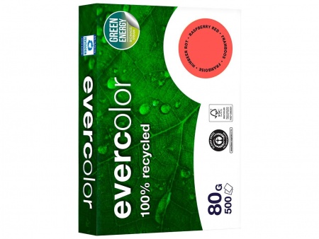 Ramette papier recyclé Evercolor 500 f. A4 80g