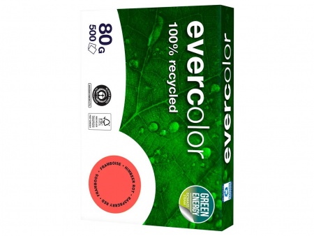 Ramette papier recyclé Evercolor 500 f. A4 80g