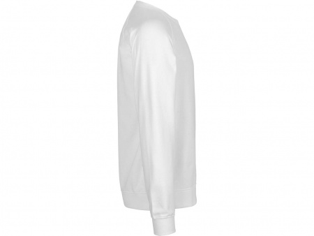 Sweat-shirt unisex coton bio 300 g/m²